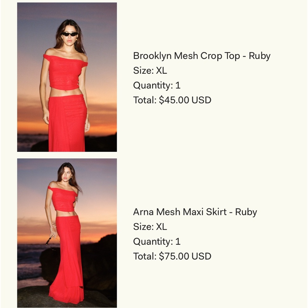 Meshki Arna Mesh Maxi Skirt - Picture 4 of 4